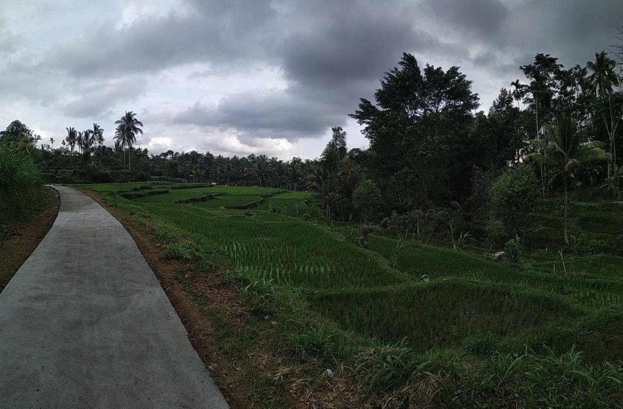 Bale Kembang Kuning Apartment Tetebatu Luaran gambar