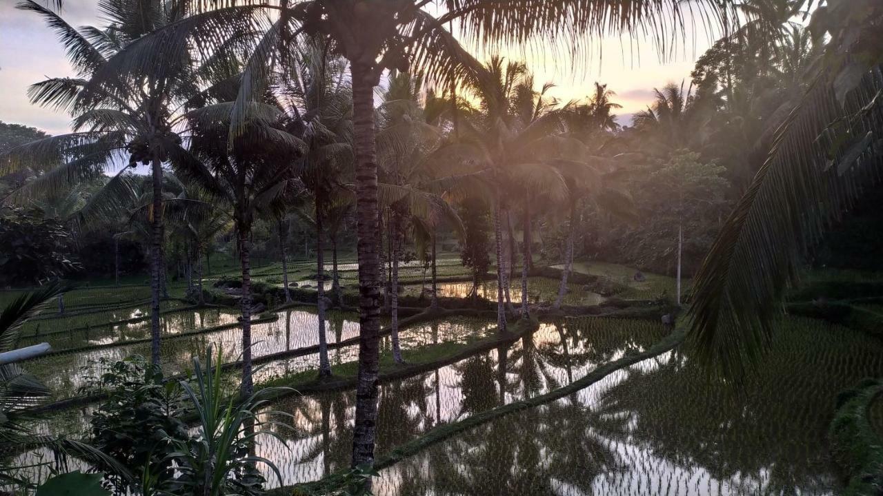 Bale Kembang Kuning Apartment Tetebatu Luaran gambar