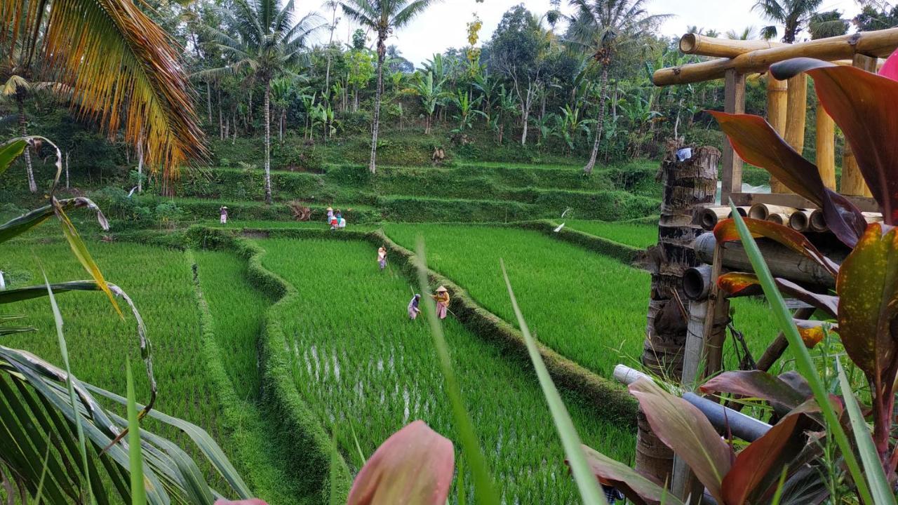 Bale Kembang Kuning Apartment Tetebatu Luaran gambar