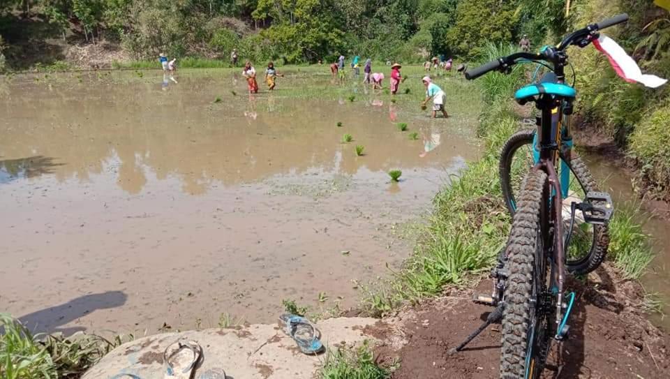 Bale Kembang Kuning Apartment Tetebatu Luaran gambar